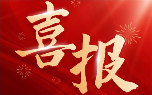 集團(tuán)榮膺2025中國民營企業(yè)500強(qiáng)第249位，制造業(yè)民營企業(yè)500強(qiáng)第177位，排名較去年雙雙大幅提升
